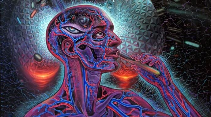 dmt yasak çünkü hükümetler aptal olmanı istiyor